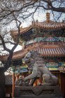 León guardián chino en el templo Lama, distrito de Dongcheng, Pekín, China - foto de stock