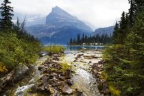 Vue panoramique du lac OHara, parc national Yoho, Colombie-Britannique, Canada — Photo de stock