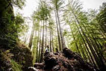 Uomo in piedi in una foresta tra alberi alti — Foto stock