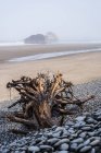 Живописный вид Arch Cape Beach, Arch Cape, Орегон, США — стоковое фото