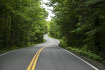 A winding highway 232 in Groton State Park lined with lush trees, Vermont, United States of America — Stock Photo