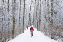 Cavalier de VTT sur une randonnée hivernale enneigée — Photo de stock