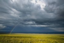 Regenbogen durch die Gewitterwolken zu einem Feld unten während eines Sommersturms, in der Nähe der alten Krähe, Yukon, Kanada — Stockfoto