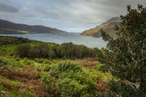 Мальовничий вид на Killary фьорд, користування, повіт Голуей, Ірландія — стокове фото