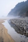 Maré baixa e nevoeiro são encontrados em Arch Cape Beach, Arch Cape, Oregon, Estados Unidos da América — Fotografia de Stock