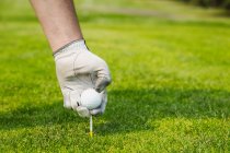 Imagem cortada de homem escolhendo bola de golfe campo verde close-up — Fotografia de Stock