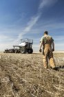 Agricoltore a piedi verso tramoggia e air seeder in un campo di colza stoppie — Foto stock