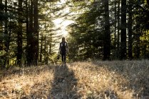 A woman walking across a field in a forest at dusk, Purisima Creek Redwoods, California, United States of America — Stock Photo
