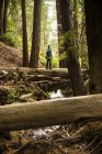 Uomo in piedi su un tronco sopra un ruscello in una foresta — Foto stock