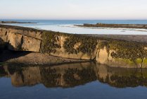 Algues sur des rochers reflétés dans une piscine, côte Est de Northumberland, Newton by the Sea, Northumberland, Angleterre — Photo de stock