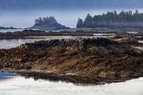 Morgendämmerung bricht über einer kleinen Insel vor Nootka Island bei Ebbe im Nuchatlitz Provinzpark, Britisch Columbia, Kanada — Stockfoto