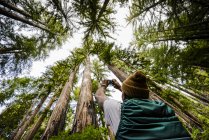 Uomo in piedi e fotografare gli alberi alti in una foresta — Foto stock
