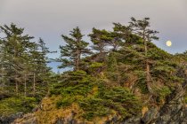 Мальовничий вид на повний місяць височіє над нутка острова, Nuchatlitz Провінційний парк, Британська Колумбія, Канада — стокове фото