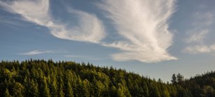 El viento crea nubes caprichosas, Astoria, Oregon, EE.UU. - foto de stock