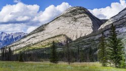 Montañas rocosas canadienses robustas con un bosque en el valle; Jasper, Alberta, Canadá - foto de stock