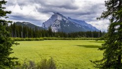 Vista panorámica del Monte Rundle, Parque Nacional Banff; Alberta, Canadá - foto de stock