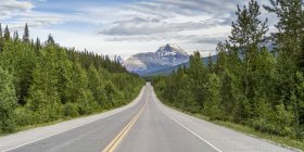 Camino a través de las escarpadas montañas rocosas canadienses; Alberta, Canadá - foto de stock