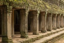 Colonnato di pilastri in pietra con tetto muschiato, Ta Prohm, Angkor Wat, Angkor Wat, Siem Reap, provincia di Siem Reap, Cambogia — Foto stock