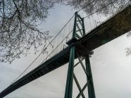 Vista ad angolo basso del Lions Gate Bridge, Stanley Park; Vancouver, Columbia Britannica, Canada — Foto stock