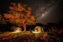La Vía Láctea en el cielo con una tienda de campaña debajo en un campamento de arbustos como un hombre sentado mirando hacia el cielo; Botswana - foto de stock