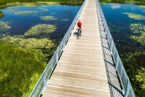 Una ciclista en un puente que cruza un estanque pantanoso, al este de Calgary; Alberta, Canadá - foto de stock