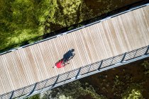Вид сверху на велосипедистку с моста через болотистый пруд с тенью велосипедиста к востоку от Калгари; Альберта, Канада — стоковое фото