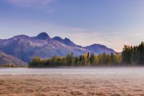 Brouillard au-dessus d'un champ herbeux au-dessous de Twin Peaks et des montagnes Chugach au coucher du soleil dans la vallée de la rivière Knik en automne, dans le centre-sud de l'Alaska ; Palmer, Alaska, États-Unis d'Amérique — Photo de stock