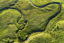 Aerial view looking straight down on a winding creek in a green field, near Millerville; Alberta, Canada — Stock Photo