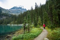 Female hiker at Lake Oesa and Lake O'Hara, Yoho National Park; British Columbia, Canada — Stock Photo