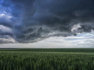 Dramatic sky over the landscape during storm in the middle west of the United States; Kansas, United States of America — стоковое фото
