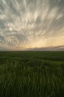 Ciel spectaculaire au-dessus du paysage pendant la tempête dans le Midwest des États-Unis, Kansas (États-Unis d'Amérique) — Photo de stock