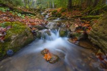 Water cascading over rocks in an autumn landscape, near Blue Mountain, Ontario, Canada — Photo de stock