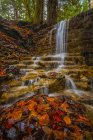 Água em cascata sobre um penhasco de rocha em um córrego no outono, Ontário, Canadá — Fotografia de Stock
