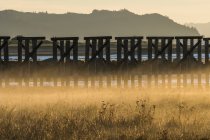Vecchio cavalletto ferroviario a Trestle Bay sulla costa dell'Oregon; Hammond, Oregon, Stati Uniti d'America — Foto stock