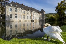 Weißer Schwan am Rande eines Teiches mit einem Schloss, das sich im Wasser spiegelt und blauem Himmel, westlich von Godinne; Belgien — Stockfoto