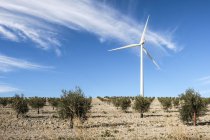 Turbina eólica entre olivos; Campillos, Málaga, Andalucía, España - foto de stock