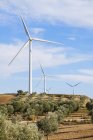 Turbinas eólicas entre oliveiras, Campillos, Málaga, Andaluzia, Espanha — Fotografia de Stock
