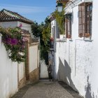 Eine Frau posiert auf einem schmalen Fußweg zwischen den weißgetünchten Häuserwänden; Granada, Spanien — Stockfoto