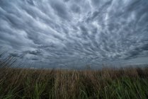 Cieli drammatici sul paesaggio visti durante un tour di caccia alle tempeste nel Midwest degli Stati Uniti; Kansas, Stati Uniti d'America — Foto stock