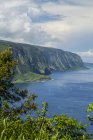 Vue panoramique de la vallée de Waipio depuis Waipio Lookout, côte Hamakua, près de Honokaa ; île d'Hawaï, Hawaï, États-Unis d'Amérique — Photo de stock