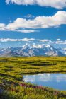 The Alaska Range as seen from the McLaren Ridge Trail off the Alaska Highway on a sunny summer day in South-central Alaska; Alaska, United States of America — Stock Photo