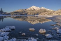 Tarde de inverno ao longo da costa do rio Mendenhall, Tongass National Forest; Juneau, Alaska, Estados Unidos da América — Fotografia de Stock