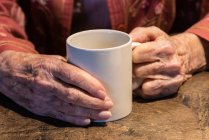 Senior woman hands holding a coffee cup; Olympia, Washington, Estados Unidos da América — Fotografia de Stock