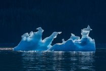 Iceberg flutuando em Tracy Arm, Tongass National Forest; Alaska, Estados Unidos da América — Fotografia de Stock