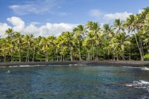 Praia de Punaluu com praia de areia preta alinhada com palmeiras ao longo da borda da água, Distrito de Kau, Ilha do Havaí, Havaí, Estados Unidos da América — Fotografia de Stock