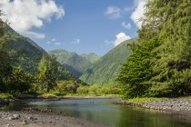 Waipio Valley and stream, Hamakua Coast, near Honokaa; Island of Hawaii, Hawaii, Stati Uniti d'America — Foto stock
