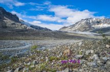 Ghiacciaio del Gulkana in una valle della catena dell'Alaska in un pomeriggio d'estate soleggiato, Alaska, Stati Uniti d'America — Foto stock
