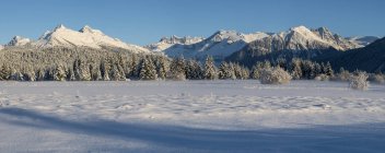 Winter snow covering Mendenhall Wetlands, Mendenhall Glacier and coast mountains, Alaska, United States of America — стокове фото