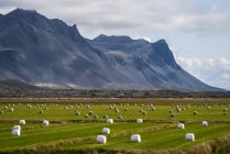 Las balas de heno salpican un campo a lo largo de la costa de la península de Snaefellsness; Islandia — Stock Photo