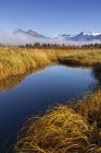 Mendenhall Ghiacciaio e torri come nebbia si schiarisce nelle paludi di Mendenhall in autunno; Juneau, Alaska, Stati Uniti d'America — Foto stock